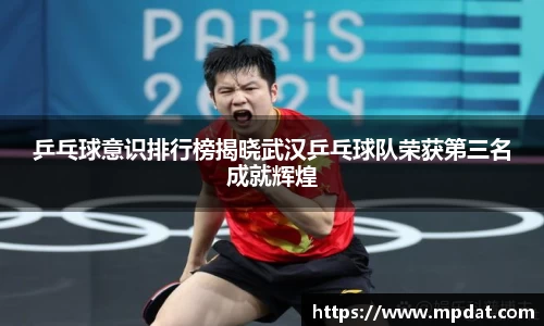 乒乓球意识排行榜揭晓武汉乒乓球队荣获第三名成就辉煌