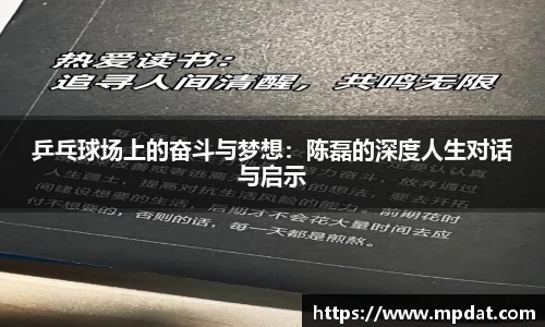 乒乓球场上的奋斗与梦想：陈磊的深度人生对话与启示