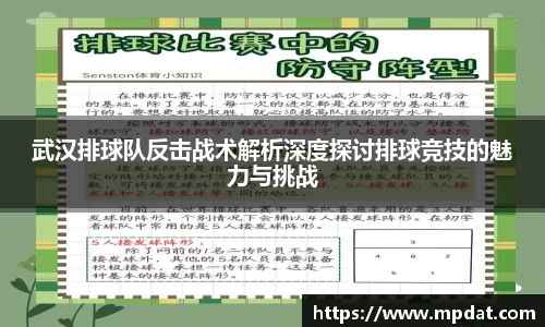 武汉排球队反击战术解析深度探讨排球竞技的魅力与挑战